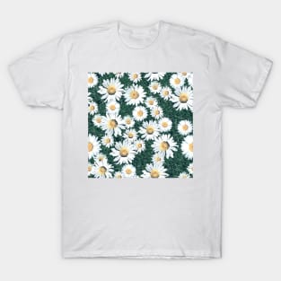 Daisy Blossom Seamless Pattern with Grass. Meadow T-Shirt